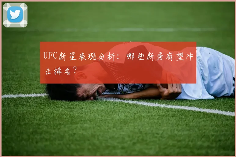 UFC新星表现分析：哪些新秀有望冲击排名？
