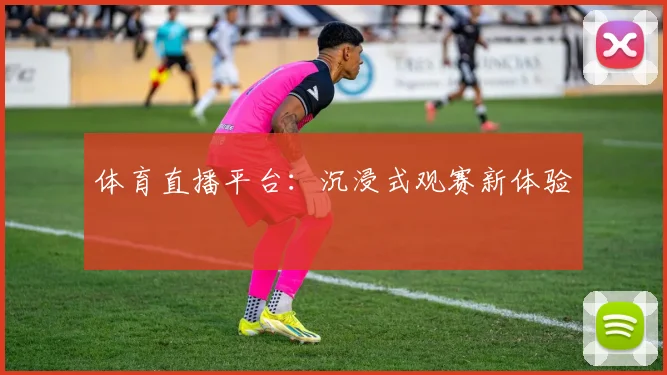 体育直播平台:沉浸式观赛新体验