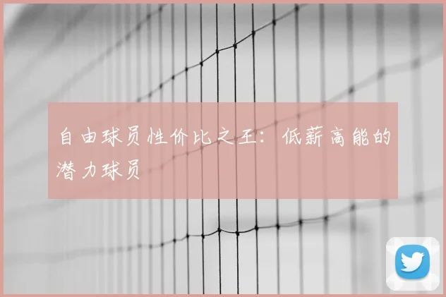 自由球员性价比之王：低薪高能的潜力球员