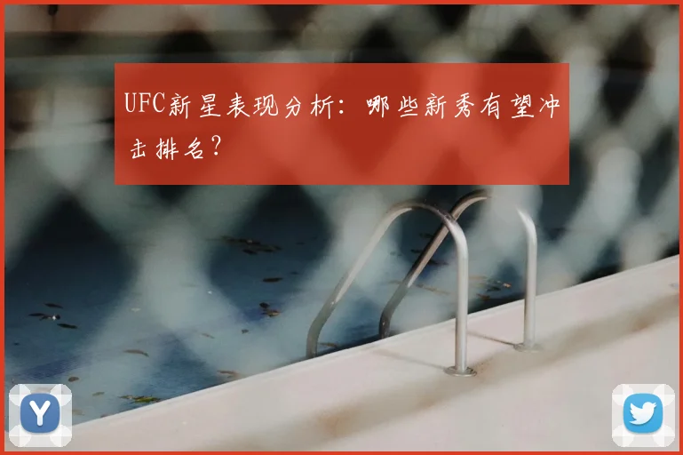 UFC新星表现分析：哪些新秀有望冲击排名？